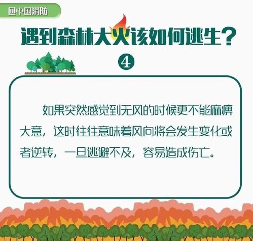 新奥门免费资料大全正版阅读|未来趋势解释落实_智慧版SIP.0.897