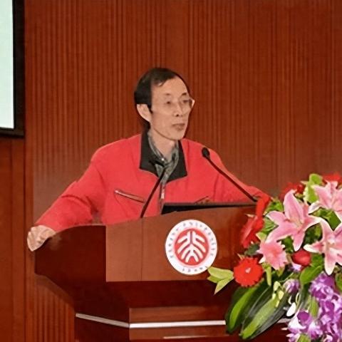 (最强魔斗士2-3怎么过)最强魔斗士究竟改名为何？神秘的新称号让人好奇不已！