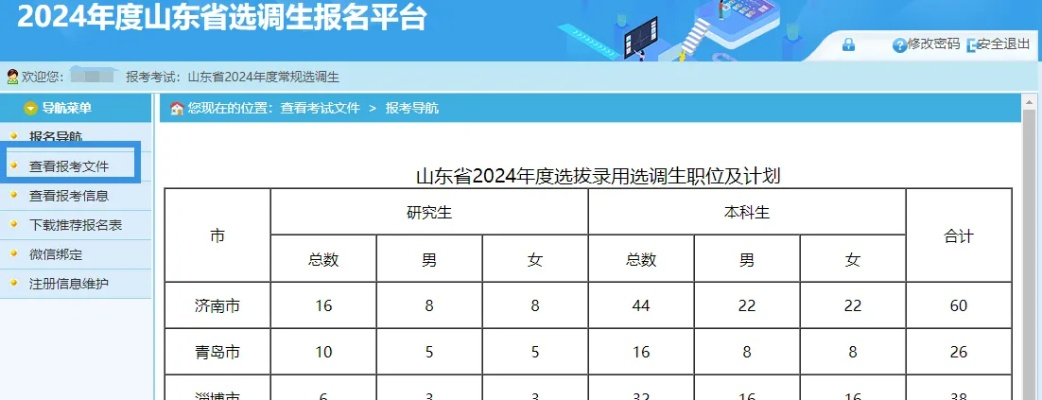 新澳2024最新资料大全|经典解释落实_战略款.4.975