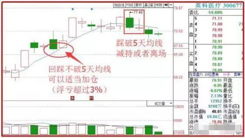 澳门天天开彩期期精准|定量分析解释落实_固定版.2.763
